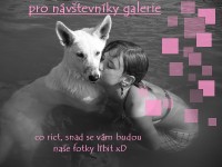 /album/fotogalerie/lov-jpg/