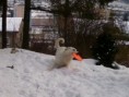 blbnutí s frisbee ve sněhu ;)