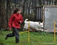 neoficiální agility závody Cvičákové bláznění